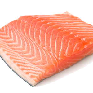 Salmon