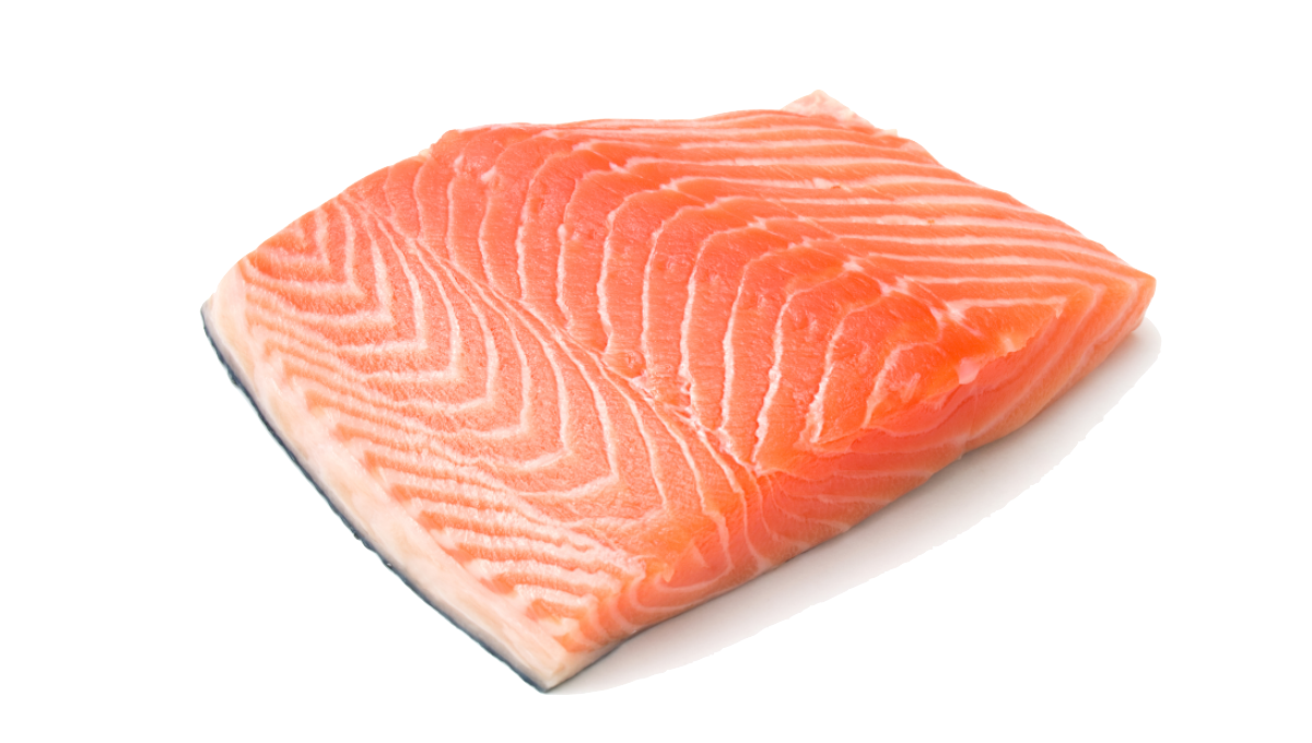 Salmon